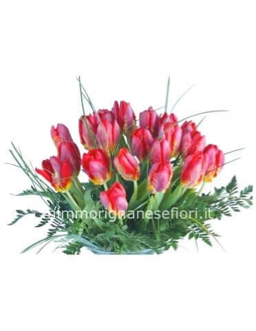 Bouquet di 9 tulipani assort iti ( i colori sono puramente indicativi)