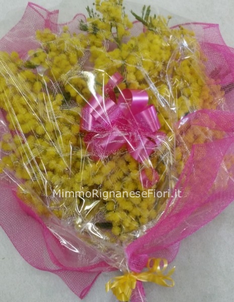 Fascio di mimose (misura base)